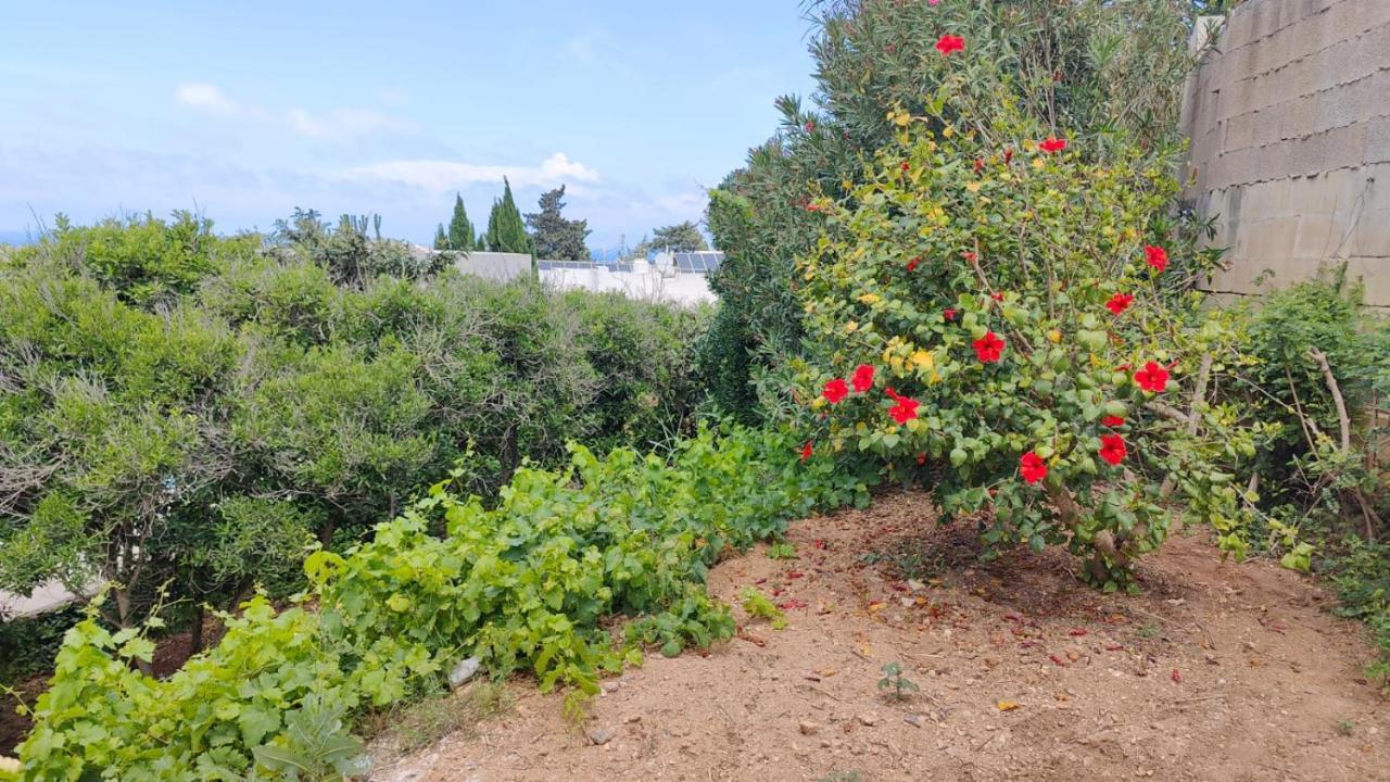 Stunning Villa With Pool, Table Tennis, Table Soccer And A Pool Table Naxxar Kültér fotó