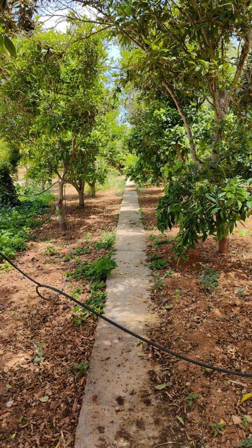 Stunning Villa With Pool, Table Tennis, Table Soccer And A Pool Table Naxxar Kültér fotó