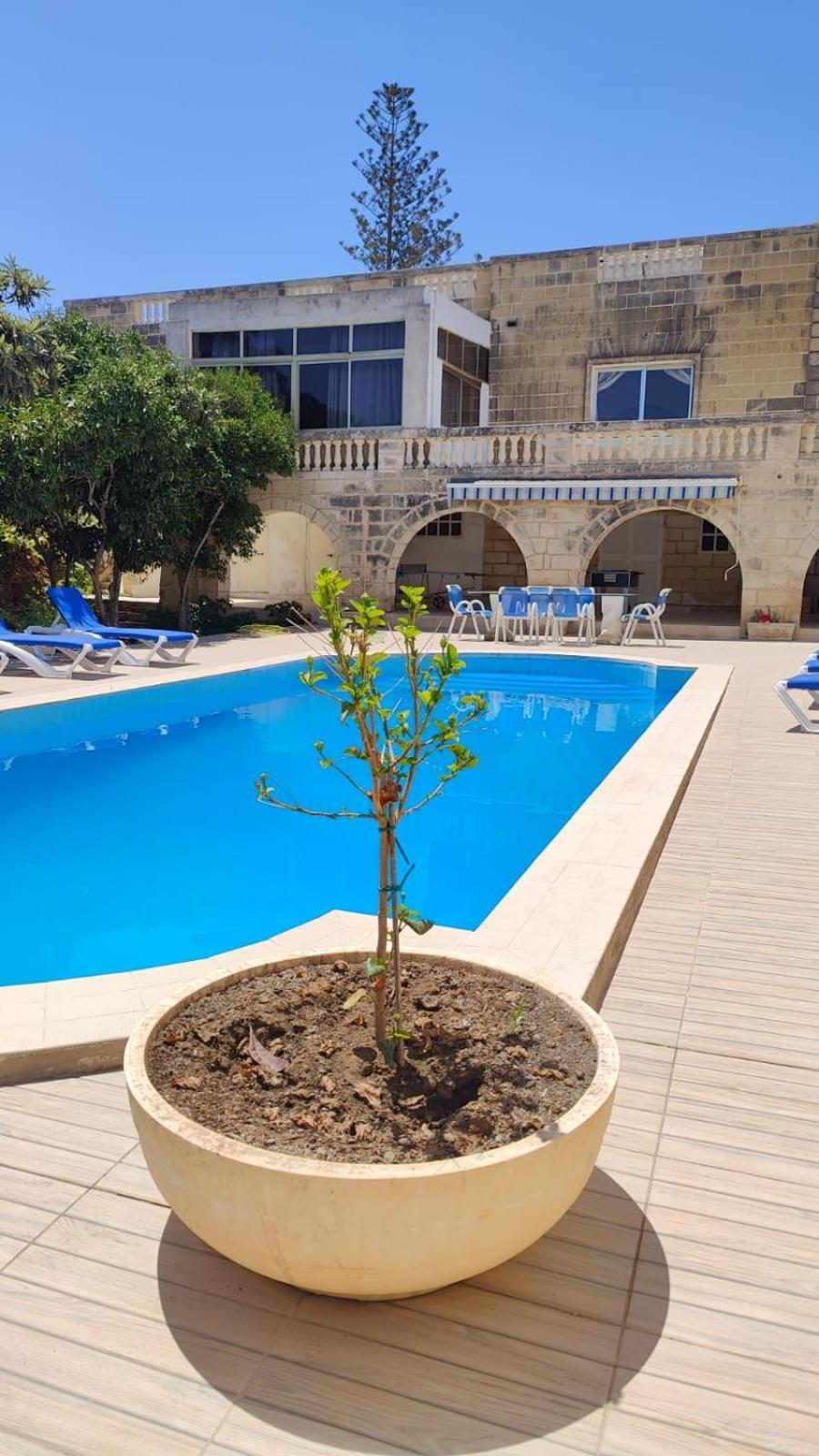 Stunning Villa With Pool, Table Tennis, Table Soccer And A Pool Table Naxxar Kültér fotó